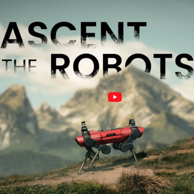 The Ascent of the Robots