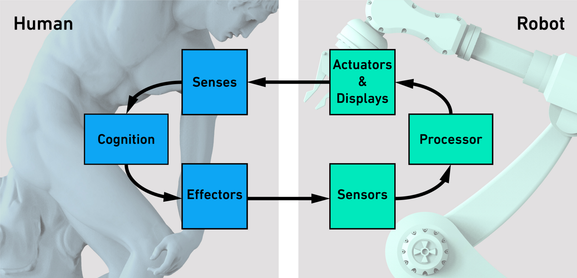 Human-Machine Interaction