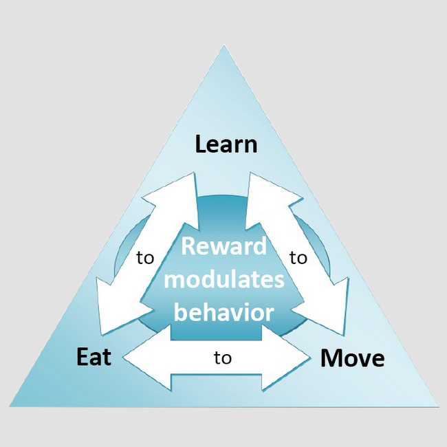 Representative “Eat to Learn to Move” triangle highlighting the interdisciplinary collaborations across the disciplines.